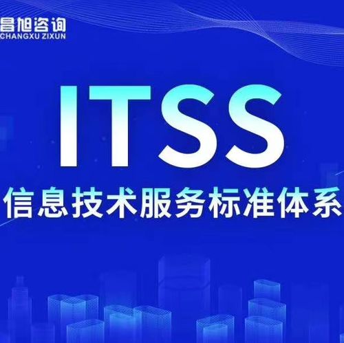 昌旭咨询:中国领先的it企业管理咨询服务提供商